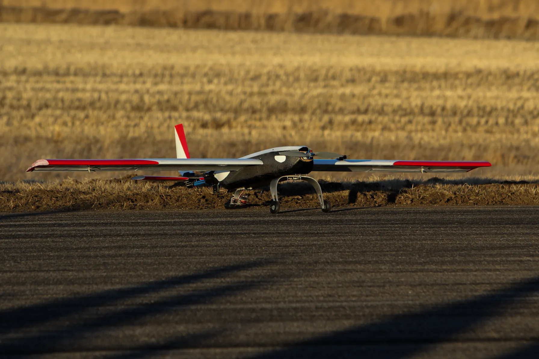 Orca grass landing